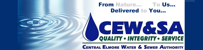 CEW&SA Quality Integrity Service