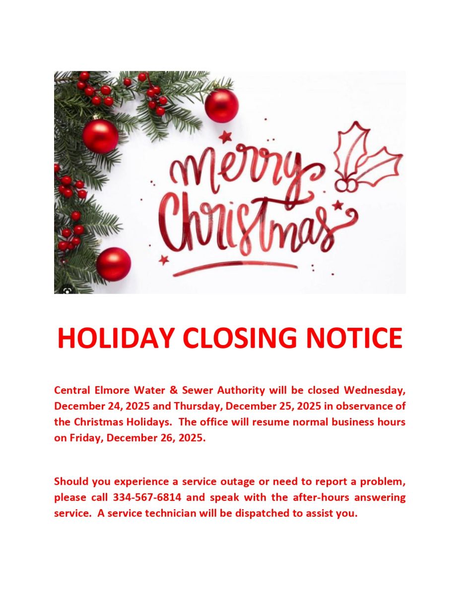 Merry Christmas with white background with pine branches with red berries and red Christmas balls